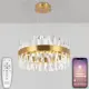 Люстра подвесная светодиодная NATALI KOVALTSEVA LED LAMPS 81244 ALEXANDRIA 20 м² изменение оттенков белого свет цвет золотой