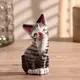 Сувенир интерьерный "Котик" серенький 4.5x2.5x12 см