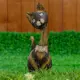 Сувенир интерьерный "Кошка Луна в воротничке" 35x13x4 см