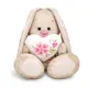 Мягкая игрушка Budi Basa SidS-569 Зайка Ми Большое сердце 18 см