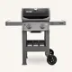 Гриль газовый Weber Spirit II E-210 черный