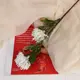 Цветы искусственные Астра пышная 7x55 см белый
