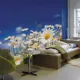 Фотообои Urban Style Ромашковый луг UST0355 300x270 см