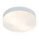 Светильник настенно-потолочный Arte Lamp Shirp 2 лампы цвет белый