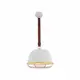 Подвесной светильник LUSSOLE Loft Kodiak LSP-8043