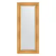Зеркало с фацетом в багетной раме Evoform травленое золото 99 мм 59x139 см BY 3522