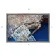 Картина в раме Декор депо "Эдуард Абжинов. Сон Венеры" 60x90 см