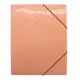 Папка на резинке Lamark Delight Time картон 240x310x27 цвет мускатная дыня