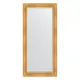 Зеркало с фацетом в багетной раме Evoform травленое золото 99 мм 79x169 см BY 3600