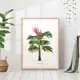Постер 28 картин "Пальма рисунок" 70x50 см в тубусе без рамы