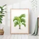 Постер 28 картин "Пальма иллюстрация" 70x50 см в тубусе без рамы