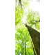 Наклейка для дверей и мебели Wallfix "Дерево снизу" 95x220 см, W213