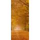 Наклейка для дверей и мебели Wallfix "Осенняя Аллея" 95x220 см, W326