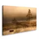 Постер Студия фотообоев "Туманный пейзаж" 73x115 см