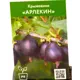 Крыжовник Арлекин ø9 h50 см