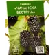 Ежевика Чачанска Бестрна h70 см