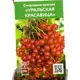 Смородина Уральская красавица h40 см