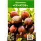 Крыжовник Сенатор ø9 h50 см