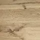 Кухонная столешница Амк-троя 30x60x0.38 см ЛДСП цвет дуб вотан
