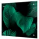 Декоративный кухонный фартук Borntoprint Листья 90x60x4 см закаленное стекло цвет прозрачный