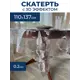 Скатерть на стол Protect 12377, прямоугольная, 110x137 см прозрачная