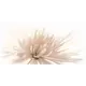 Керамическая плитка Cersanit Emma 00001101434 29.7x60см цвет бежевый