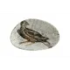 Набор салатников 2 шт Bonna Mesopotamia 00000067510 фарфор цвет разноцветный