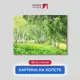 Картина на деревянном подрамнике Первое ателье "Зеленый лес с березами" 44x60 см