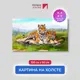 Картина на деревянном подрамнике Первое ателье "Два ярких тигра на камне" 100x60 см