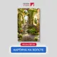 Картина на деревянном подрамнике Первое ателье "Улица с лестницей и множеством растений" 40x60 см