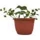 Земляника микс ø19 см