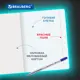 Тетрадь для школы тонкая 12 листов Комплект 10 штук Brauberg 106650, Классика, клетка, обложка картон, Зеленая
