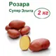 Картофель Лето Розара 2 кг в сетке