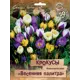 Крокусы ботанические Весенняя палитра микс, 50 шт.