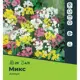 Аллиум микс луковицы 4/5, 20 шт.
