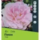 Пион Тафф луковицы 2/3, 1 шт.