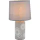 Настольная лампа Toplight Kathlyn Tl0200-t1 цвет серый/серебристый