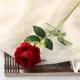 Цветы искусственные Poetry in flowers "Роза венесуэльская" 5