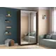 Шкаф-купе Мебельная компания Е1 Экспресс Хит Экспенс 220x120x60 см ЛДСП цвет венге