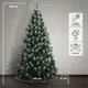Ель Кавказская белые кончики 290 см