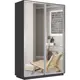 Шкаф-купе МК Е1 1EEKD_120_DM Экспресс 120x220x60 см ЛДСП 2 двери 7 полок цвет диамант