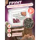Грунт для кактусов и суккулентов Catuse 3 кг 1-5мм
