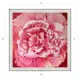 Картина в раме Декор Депо Эдуард Абжинов "Пион" E20 61x61 см