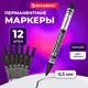 Маркер перманентный (нестираемый) Brauberg 880245. черный тонкий 0.5 мм Комплект 12 штук