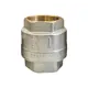 Клапан обратный ROMMER 2" с металлическим седлом