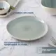 Тарелка обеденная Magistro Ocean. d23 см