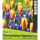 Тюльпан Стреза Крокусы Фиолетовые 25 штук