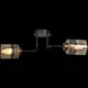 Люстра потолочная Reluce 61713-0.3-02 2 лампы 6 м² цвет черный