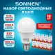 Лампа светодиодная Sonnen 880795 E27 175-265 В 12 Вт груша матовая 1300 Лм