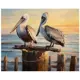 Картина на холсте Fbrush Два пеликана 50x40 см
